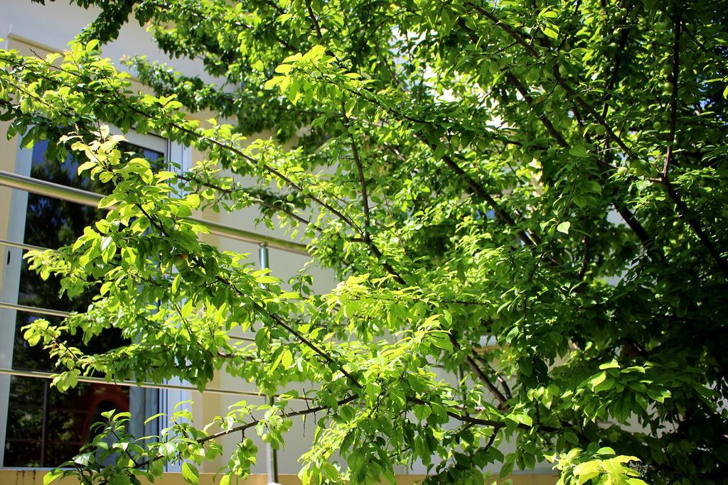 הוילה קליבס Sofia Filoxenia House מראה חיצוני תמונה